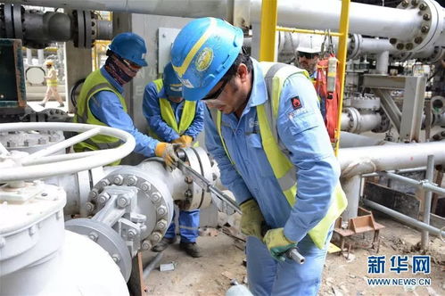 攜手共進，開創未來 科威特王子與中國伙伴的戰略合作探索